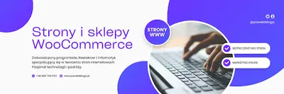 Strony Internetowe Bydgoszcz, Opieka nad stronami Paweł Deluga